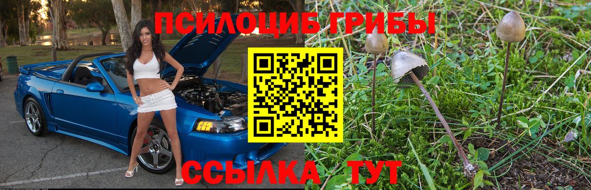 Псилоцибиновые грибы Magic Shrooms  Псилоцибиновые грибы GOLDEN TEACHER  Петрозаводск  Вход с VPN 
